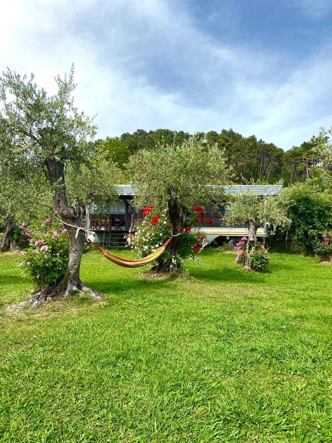 Azienda Agricola Della Mezzaluna Stiava ภายนอก รูปภาพ