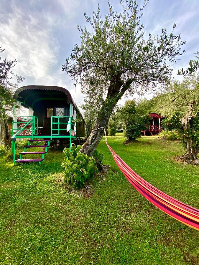 Azienda Agricola Della Mezzaluna Stiava ภายนอก รูปภาพ