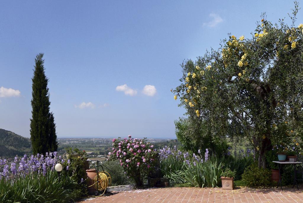 Azienda Agricola Della Mezzaluna Stiava ภายนอก รูปภาพ